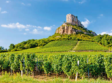 Bourgogne Franche Comté, Felsen von Solutré