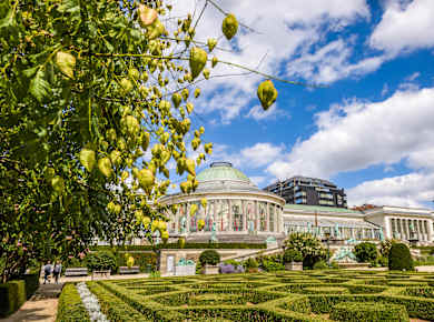 Brüssel, Jardin Botanique