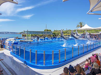 Calviá/Costa d'en Blanes, Marineland