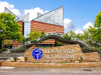Chattanooga, TN, Tennessee Aquarium
