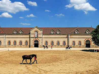 Cluny, Haras National de Cluny
