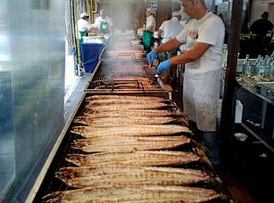 Comacchio, Fest des Aals