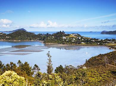Coromandel