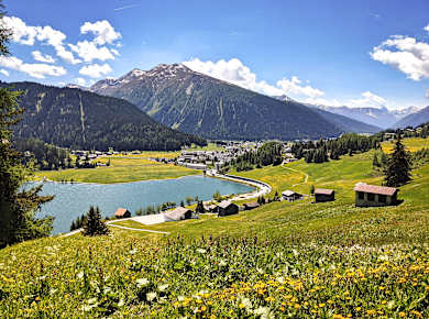 Davos