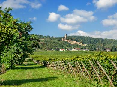 Deutsche Weinstraße