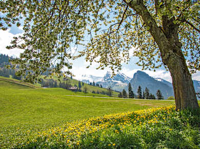 Diemtigen, Diemtigtal