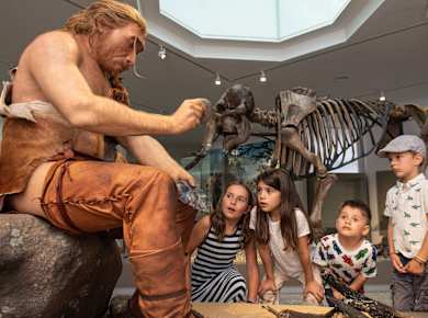 Dortmund, Naturmuseum Dortmund