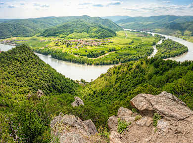Donauschlinge bei Dürnstein