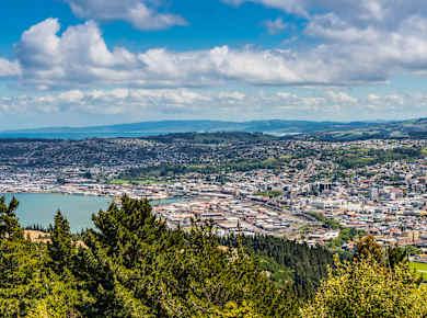 Dunedin