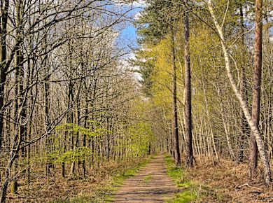 Eeklo, Provinzdomäne Het Leen
