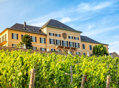 Eltville am Rhein, Rheingauer Riesling Route, Schloss Johannisberg