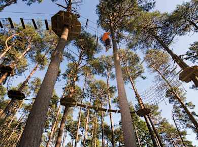 Enderndorf bei Spalt, Abenteuerwald Enderndorf