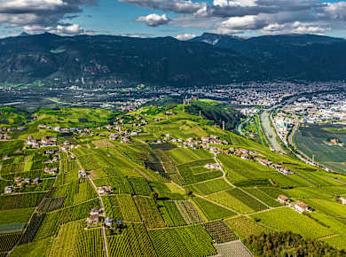 Eppan-Girlan, Kellerei Girlan