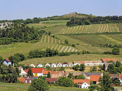 Falkenstein, Kellergasse