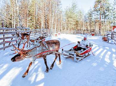 Arjeplog, Nationalpark Pieljekaise