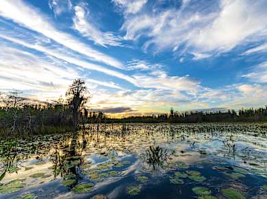 Folkston, GA, Okefenokee National Wildlife Refuge