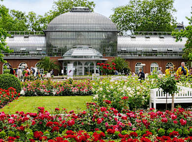 Frankfurt am Main, Palmengarten