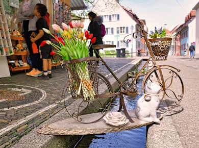 Freiburg, Freiburger Bächle