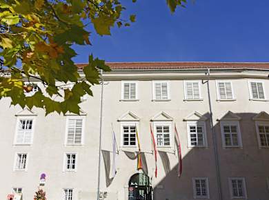 Friesach, Fürstenhof