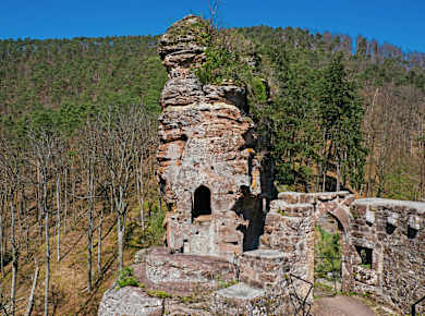 Froensbourg, Château de Froensbourg