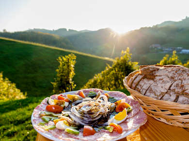 Fürstenfeld, Steirisches Thermenland