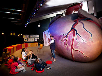 Fulda, Kinder-Akademie