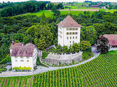 Gelfingen, Schloss Heidegg