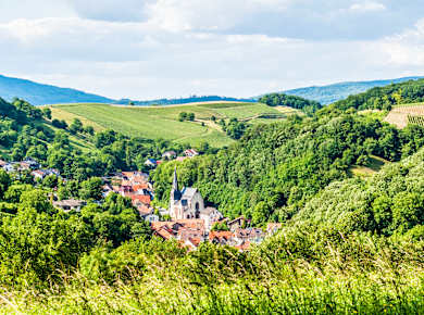 Geo-Naturpark Bergstraße-Odenwald