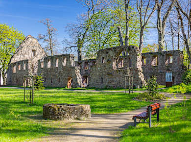 Grimma, Klosterruine Nimbschen