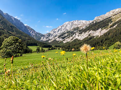 Hochsteiermark,  Hochschwab mit Aflenzer Staritzen