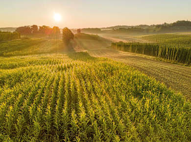 Hopfenland Hallertau