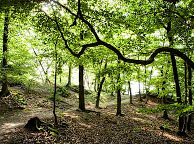 Idstein, Naturpark Rhein-Taunus