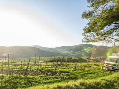 Ihringen, Rundfahrt durch den Kaiserstuhl