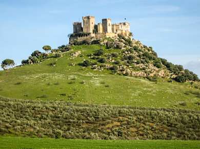 Almodóvar del Rio, Castillo de Almodóvar del Río