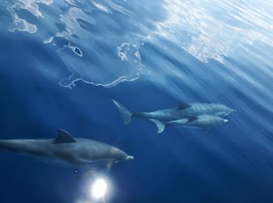 Nationalpark Nördliche Sporaden