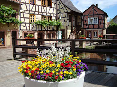 Annweiler am Trifels, Museum unterm Trifels