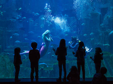 Paris, Aquarium de Paris Cinéaqua