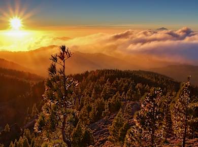 Ayacata, Pico de las Nieves