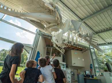 Balje, Natureum Niederelbe