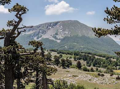 Parco Nazionale del Pollino