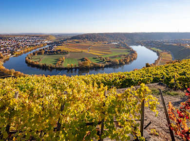 Besigheim, Mundelsheim und Hessigheim