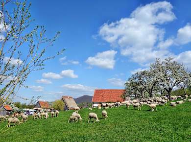 Beuren, Freilichtmuseum Beuren