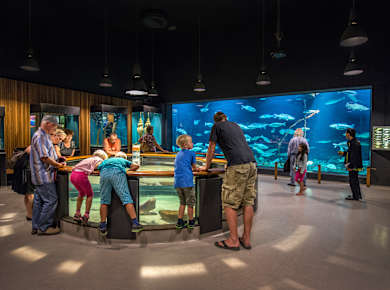 Seefahrtsmuseum Esbjerg