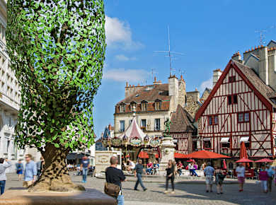 Dijon