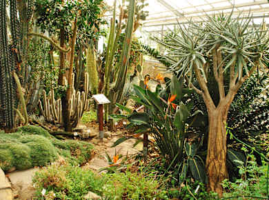 Dresden, Botanischer Garten