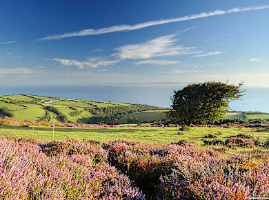 Exmoor National Park