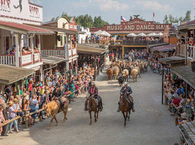 Pullman City