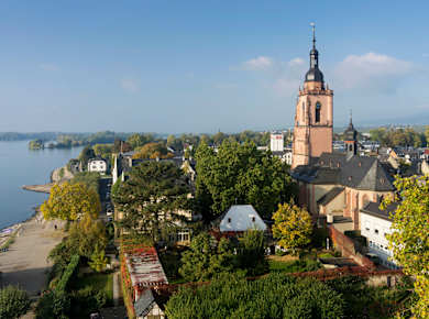 Eltville am Rhein