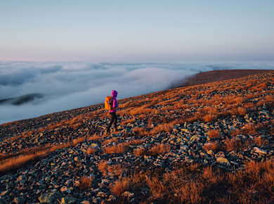 Pallas-Yllästunturi Nationalpark