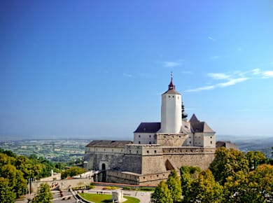 Forchtenstein, Burg Forchtenstein